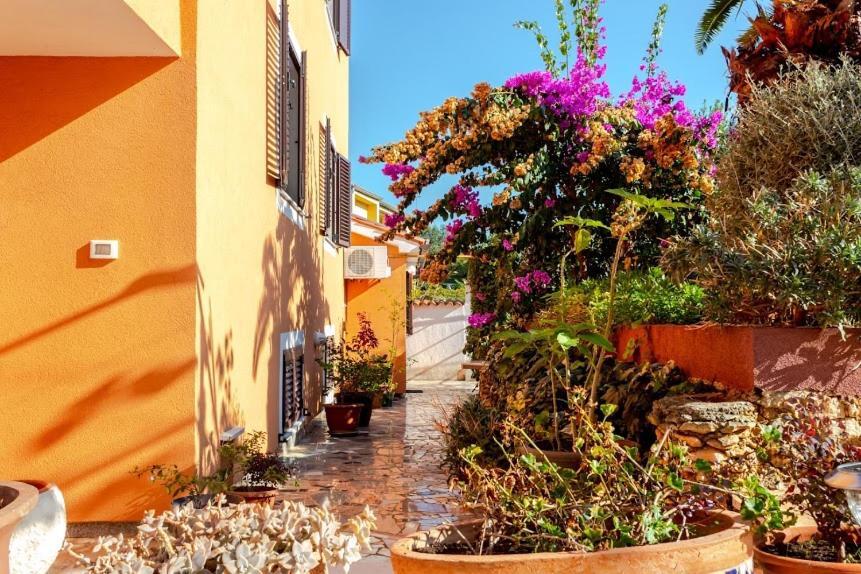Apartments Ellen Banjole Εξωτερικό φωτογραφία